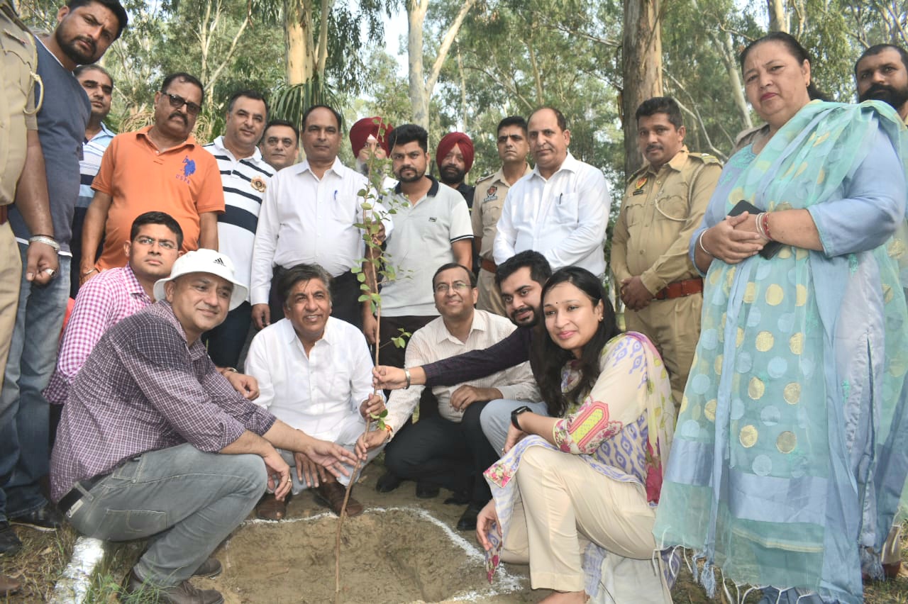 ਹੁਸ਼ਿਆਰਪੁਰ ਜ਼ਿਲ੍ਹੇ ’ਚ ਲਗਾਏ ਜਾਣਗੇ 38 ਲੱਖ ਪੌਦੇ - ਬ੍ਰਹਮ ਸ਼ੰਕਰ ਜਿੰਪਾ
